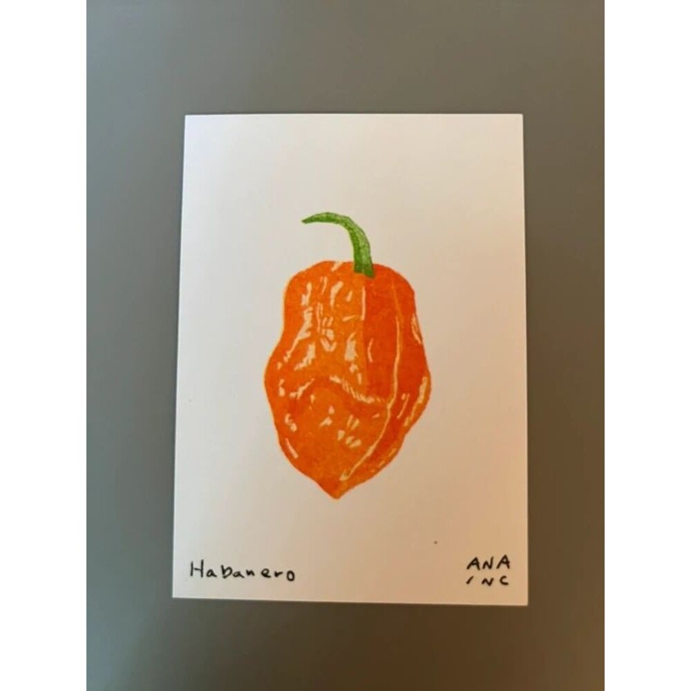 Ana Inciardi Mini Print - Habanero